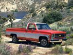 Chevrolet C20 Silverado Fleetside 1979 года